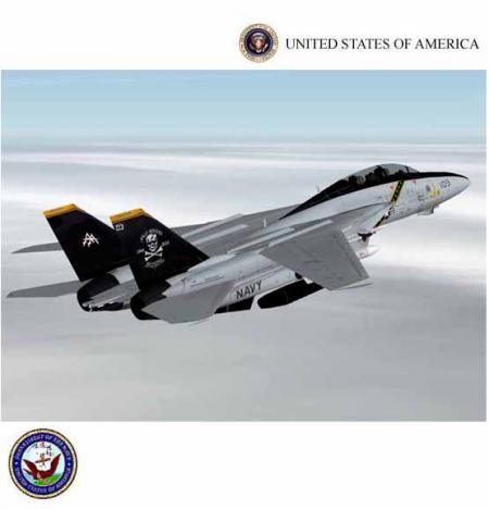 F-14 Tomcat Series